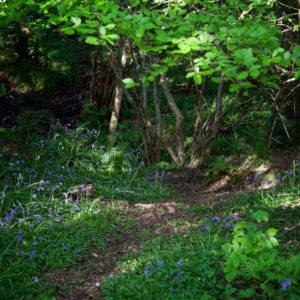 Sperrins Festival 2026