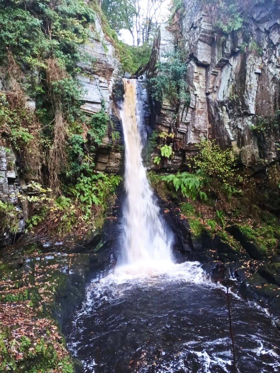 swimming in waterfalls